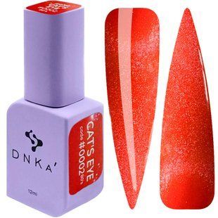 DNKa' Color Gel Polish Cat's Eye #0002 80's Hema/TPO free, 12 мл FTCGP0002 фото