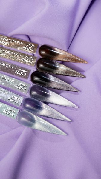DNKa' Gel Polish Cat's Eye Bohemian #0016, 12 мл FTCGP0016 фото