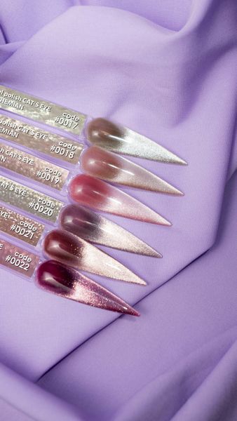DNKa' Gel Polish Cat's Eye Bohemian #0018, 12 мл FTCGP0018 фото