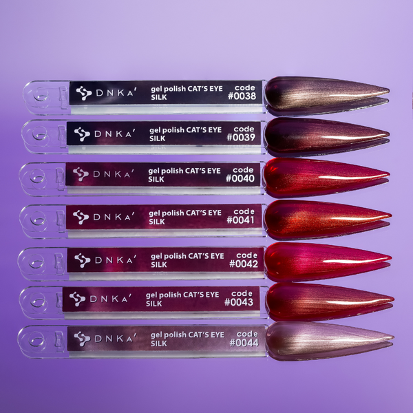 DNKa' Gel Polish Cat's Eye Silk #0038, 12 мл FTCGP0038 фото