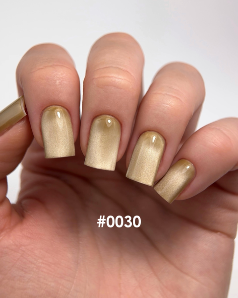 DNKa' Gel Polish Cat's Eye Silk #0030, 12 мл FTCGP0030 фото
