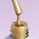 DNKa' Gel Polish Cat's Eye Silk #0030, 12 мл FTCGP0030 фото 8