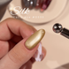 DNKa' Gel Polish Cat's Eye Silk #0030, 12 мл FTCGP0030 фото 5