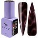 DNKa' Gel Polish Cat's Eye Silk #0039, 12 мл FTCGP0039 фото 2