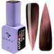 DNKa' Gel Polish Cat's Eye Silk #0039, 12 мл FTCGP0039 фото 1
