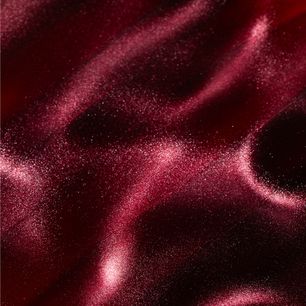 DNKa' Gel Polish Cat's Eye Silk #0040, 12 мл FTCGP0040 фото