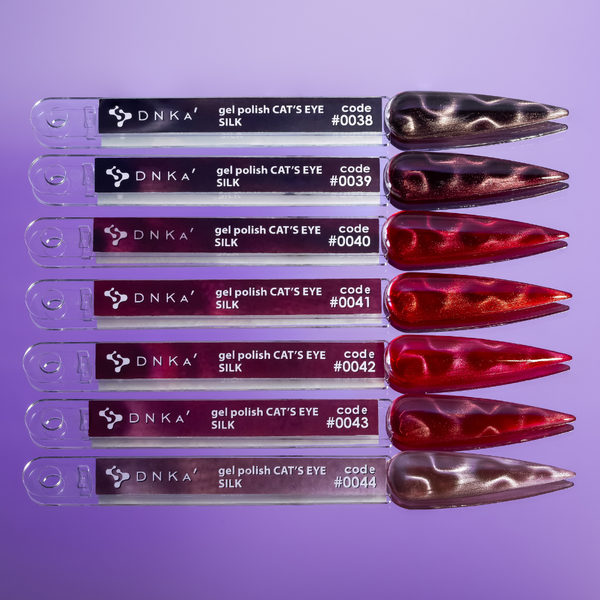 DNKa' Gel Polish Cat's Eye Silk #0040, 12 мл FTCGP0040 фото