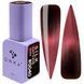DNKa' Gel Polish Cat's Eye Silk #0040, 12 мл FTCGP0040 фото 1