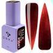 DNKa' Gel Polish Cat's Eye Silk #0041, 12 мл FTCGP0041 фото 1
