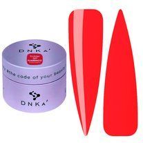 DNKa' Builder Gel Flamenco Limited Edition BGDFL-30 фото