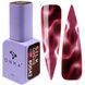 DNKa' Gel Polish Cat's Eye Silk #0042, 12 мл FTCGP0042 фото 2