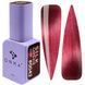 DNKa' Gel Polish Cat's Eye Silk #0042, 12 мл FTCGP0042 фото 1