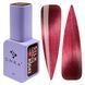 DNKa' Gel Polish Cat's Eye Silk #0042, 7 мл FTCGP0042 фото 1