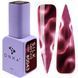 DNKa' Gel Polish Cat's Eye Silk #0043, 12 мл FTCGP0043 фото 2