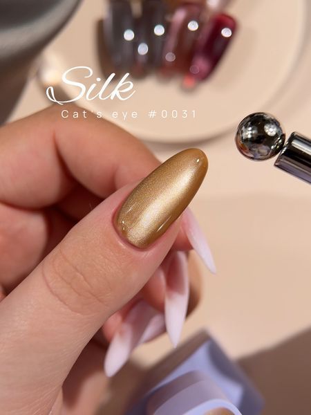 DNKa' Gel Polish Cat's Eye Silk #0031, 12 мл FTCGP0031 фото