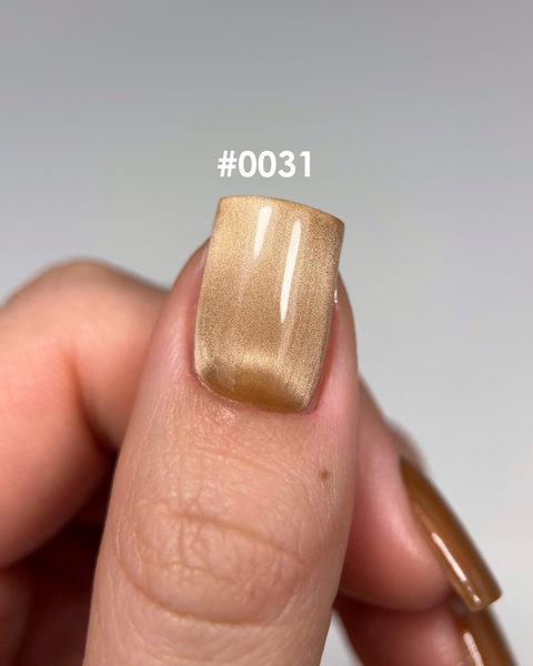 DNKa' Gel Polish Cat's Eye Silk #0031, 12 мл FTCGP0031 фото