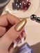 DNKa' Gel Polish Cat's Eye Silk #0031, 12 мл FTCGP0031 фото 9