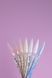DNKa' Builder Gel #0023 Pearl BGD0023 фото 3