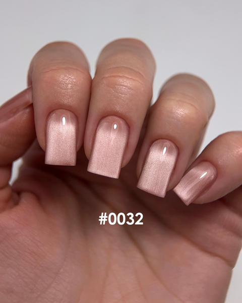 DNKa' Gel Polish Cat's Eye Silk #0032, 12 мл FTCGP0032 фото
